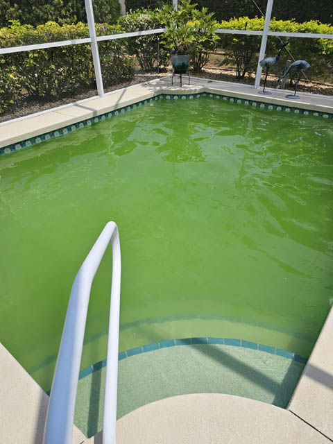 green pool