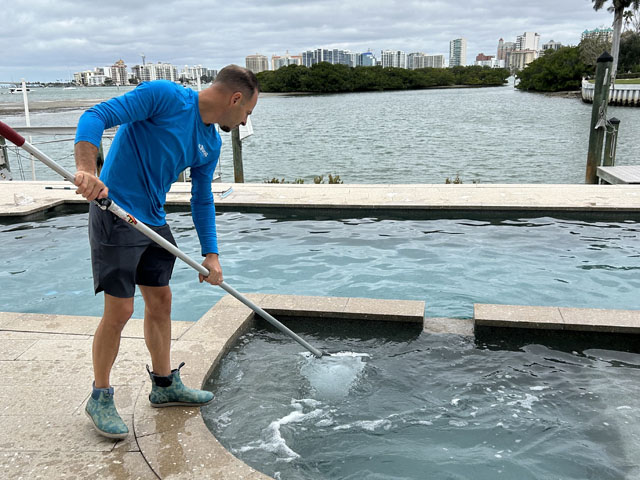 choosing the right pool cleaning service